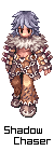 シャドウチェイサー