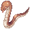 Ragnarok Online モンスター アナコンダク