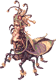 Ragnarok Online モンスター マヤー